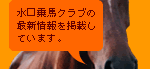 案内馬イメージ
