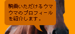 案内馬イメージ