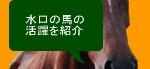 ˆÄ“à”nƒCƒ[ƒW