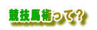 競技馬術って?